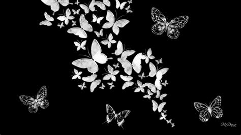 butterfly cartoon black and white|black and white butterfly background.